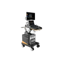 Ultrasound System